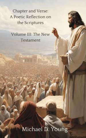 Chapter and Verse Volume III by Michael D. Young — scripture study guide