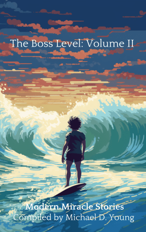 The Boss Level Volume II by Michael D. Young — modern miracle stories