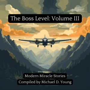 The Boss Level Volume III audiobook