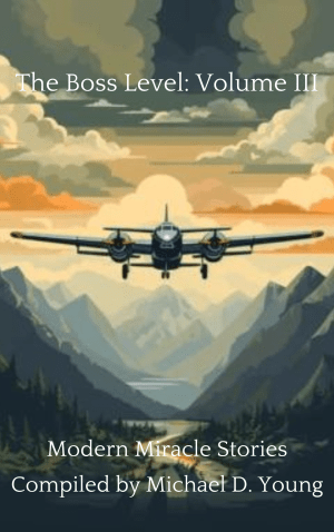 The Boss Level Volume III by Michael D. Young — modern miracle stories